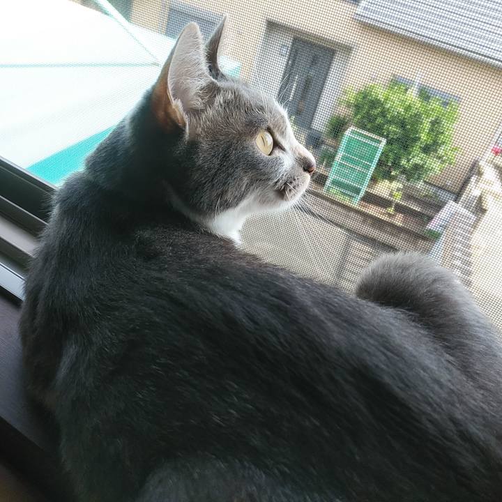 Ccd35039 933c 4b60 8107 c8da056f2260 1592175276896