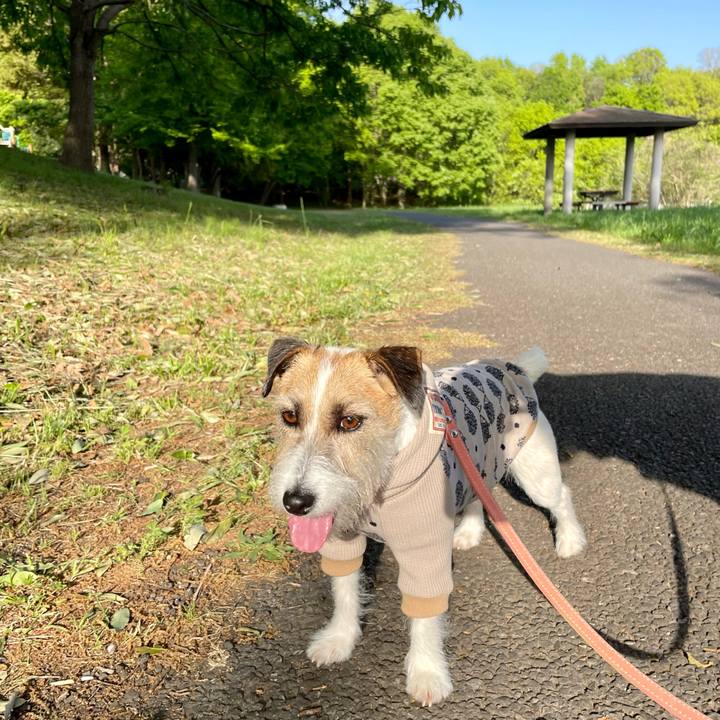 Ccd3a9b6 cc71 45ff b185 4add26c57cbd 1682163814769