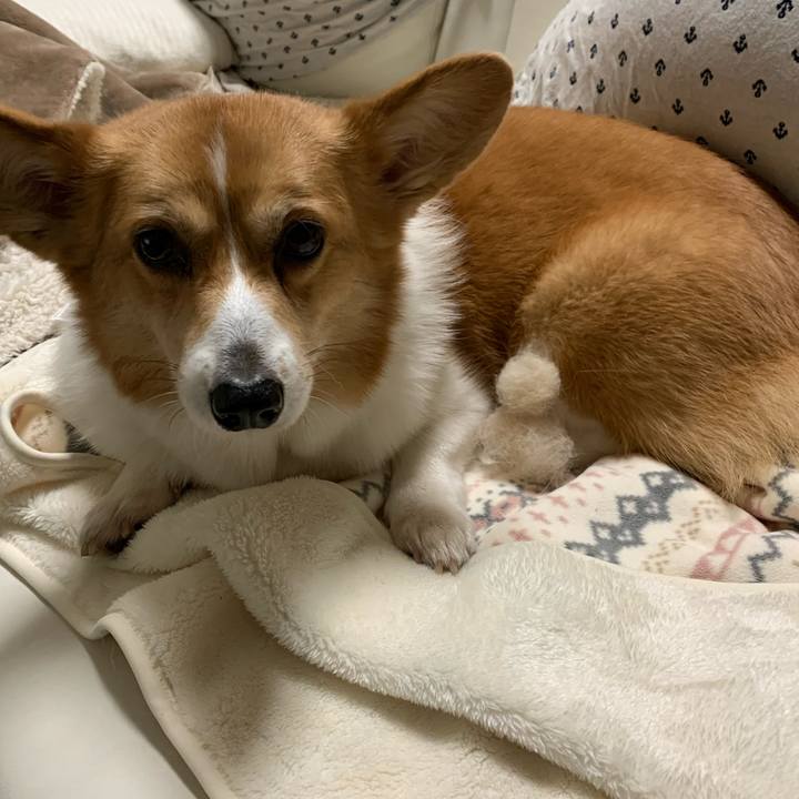 Ccd4187b 0c2d 4046 8ff6 092bbbc4ff21 1579265831936