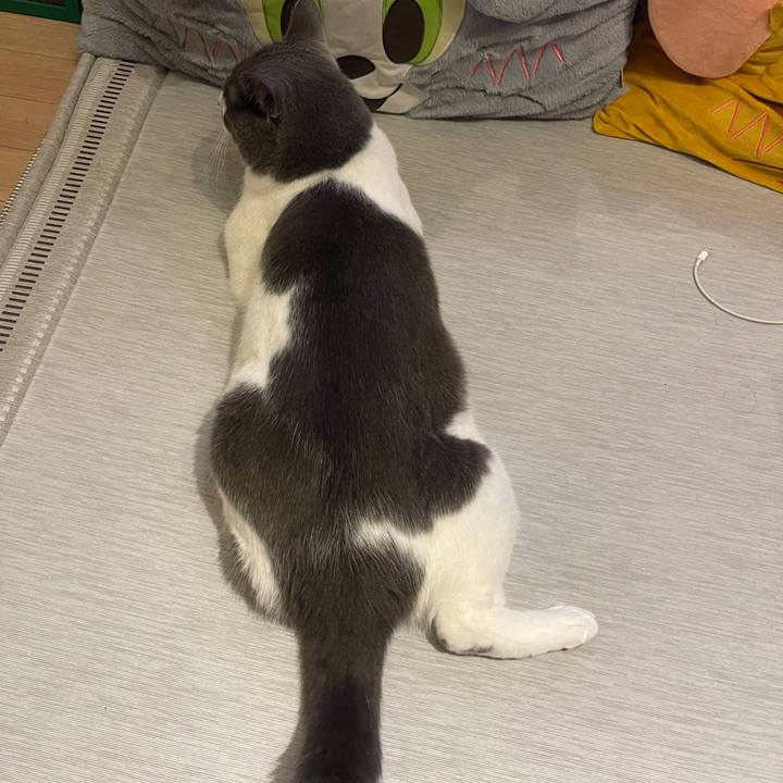 Ccd41c91 8fe2 4bfe 91ab 4cf5268130be 1752674183073