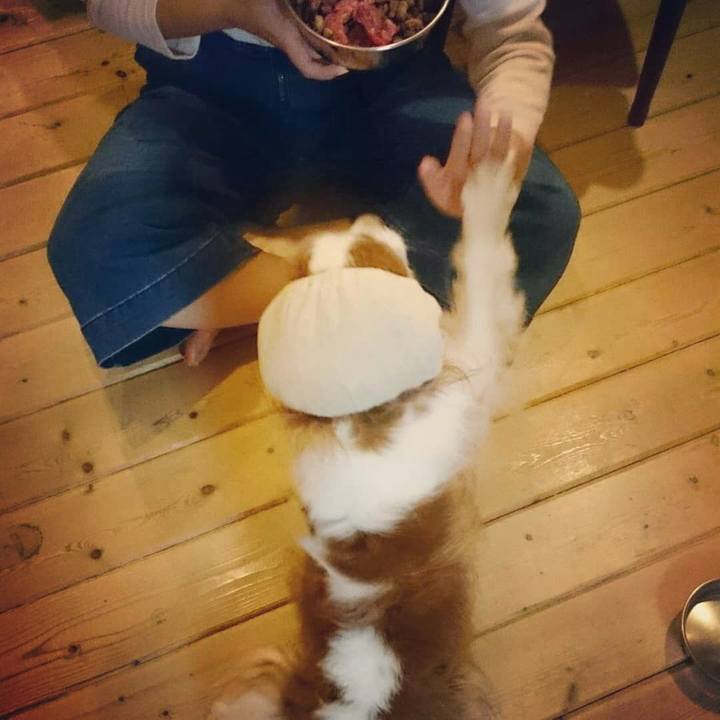 Ccd429bd 5efd 437e b318 9d98e28be7a6 1539389456105