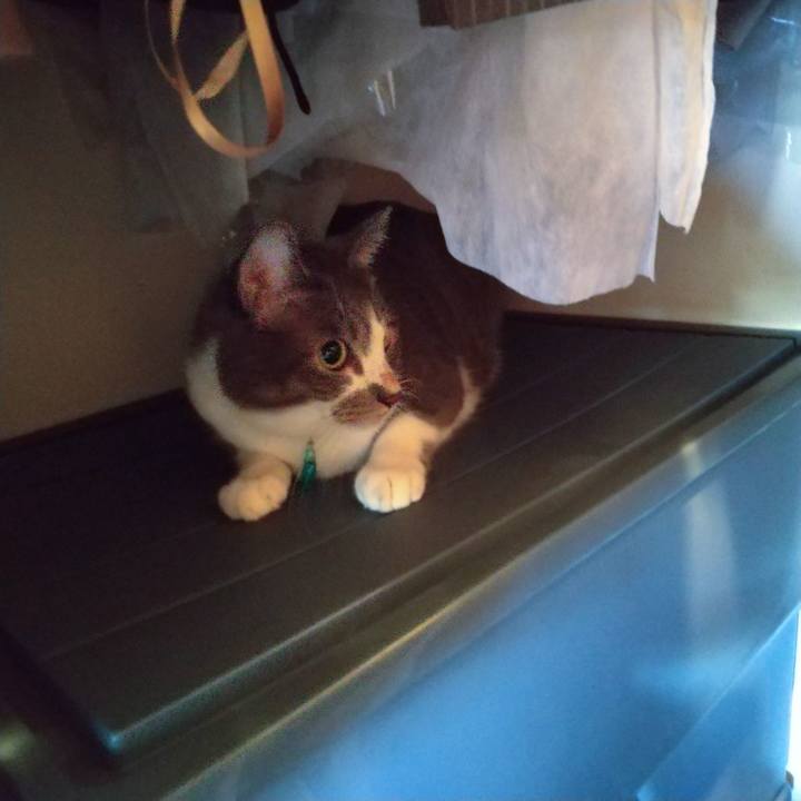 Ccd4463e e003 462a b3d2 3bd8e3f146c1 1631249621005