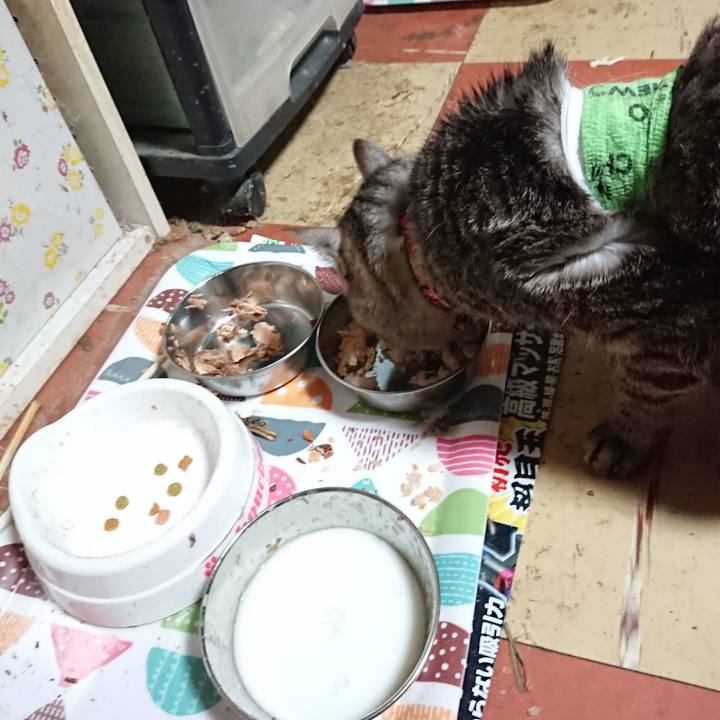 Ccd47ed0 975e 411f 8e3e 43a753367522 1587503601269