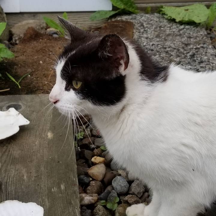 Ccd4bdc2 4026 4077 b90c fd26c0e9b309 1592913156561