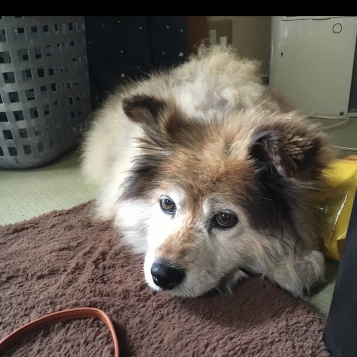 Ccd4d929 8150 48ac 99f8 8e15ab19ac9d 1657192086867