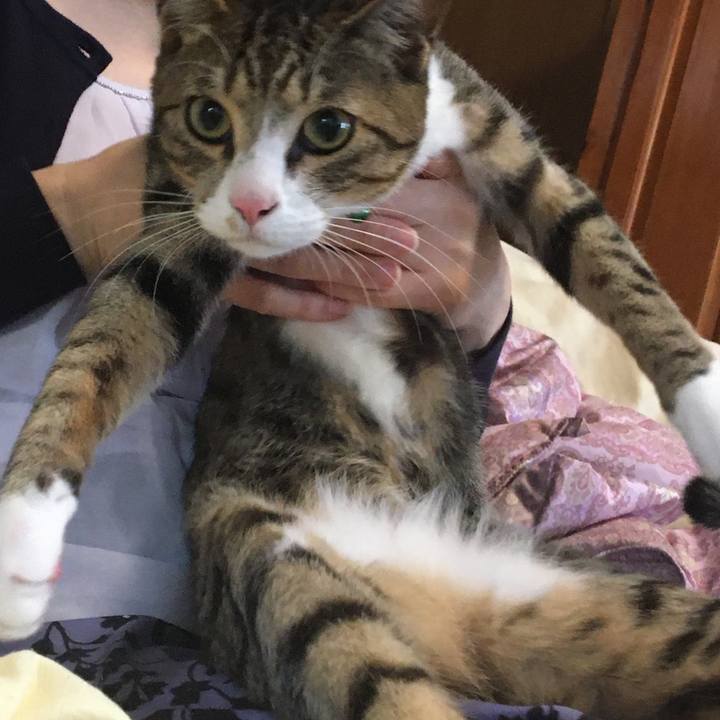 Ccd4e8c5 3f86 4cc0 af97 3f7c783f749d 1667229937240