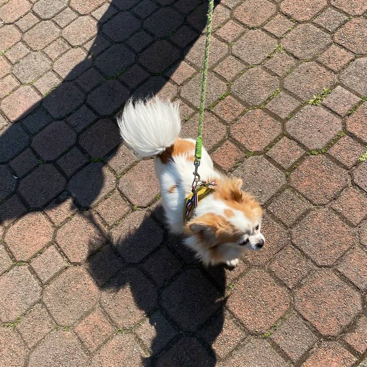 Ccd4fee7 50b0 44d5 b405 3844afc764e1 1590814331859