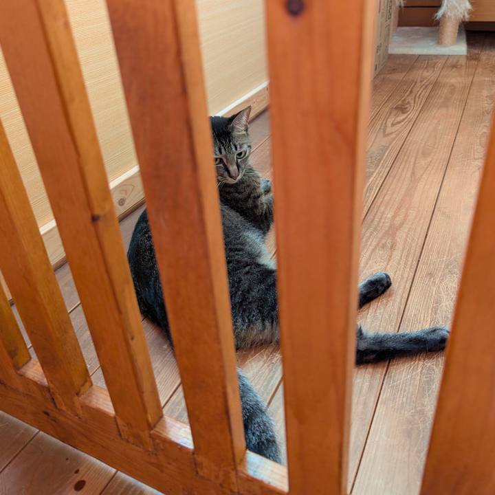 Ccd54b3b 3033 406d b424 10e1a3864bbf 1758182049196