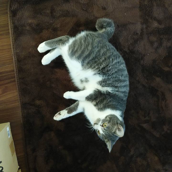 Ccd57627 aaf6 4022 92e6 4dd6b29687fb 1581031971098