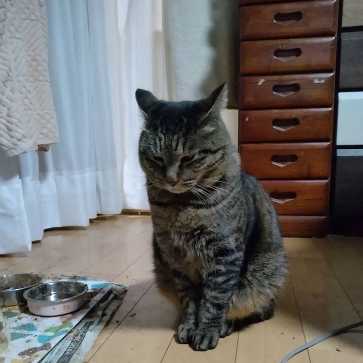 Ccd59121 5b8d 4e37 b23a 8c57ecf53332 1676242341421