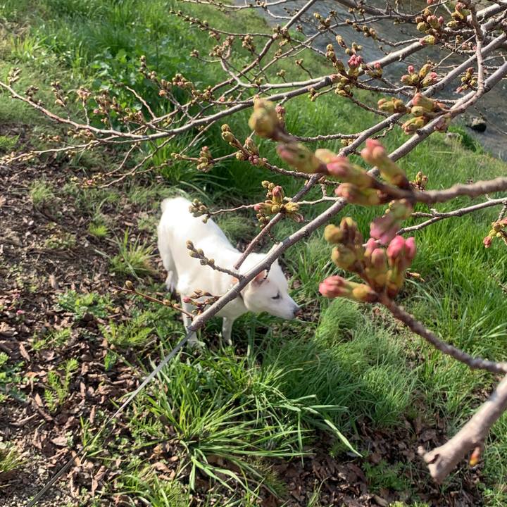 Ccd591fa dc1b 407b a9a5 bc6bc1d17b91 1553388970213