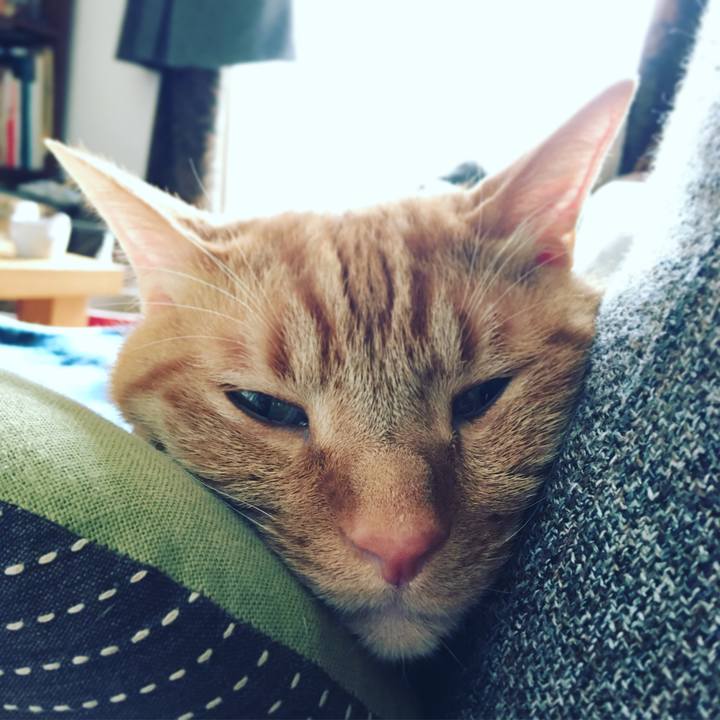 Ccd5ff25 3b53 40d8 8eaa a7ed93920f69 1578796227170