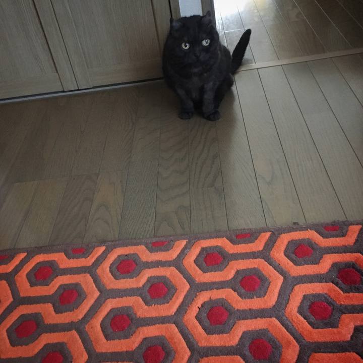 Ccd61567 6c65 4152 9109 8e437adb2416 1583923483202