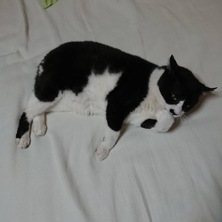 Ccd615b4 2643 4396 9ae1 5cc409d57142 1529195054362