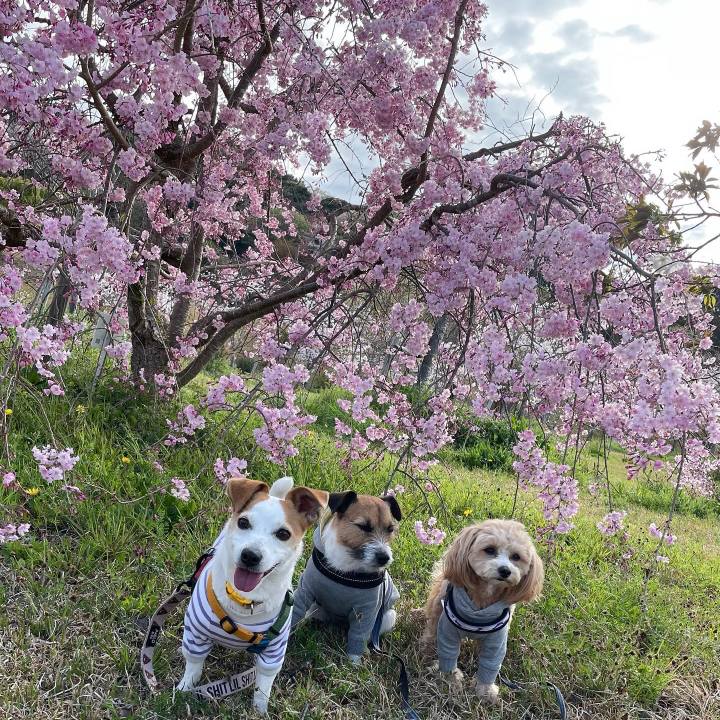 Ccd6236e 0636 4016 9dd8 9c6b869d58b4 1648724878218