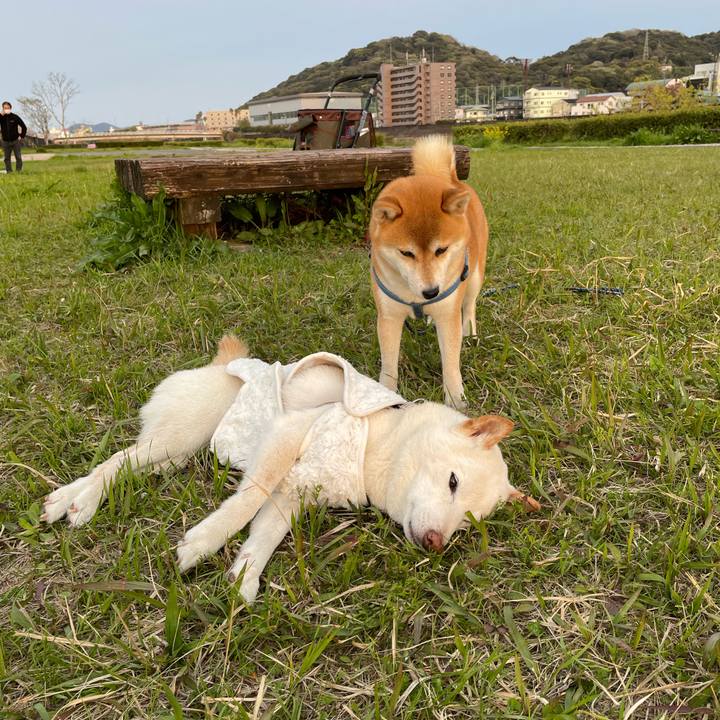 Ccd640ed 1cf0 454a 8082 852af0d1e93e 1648901865599