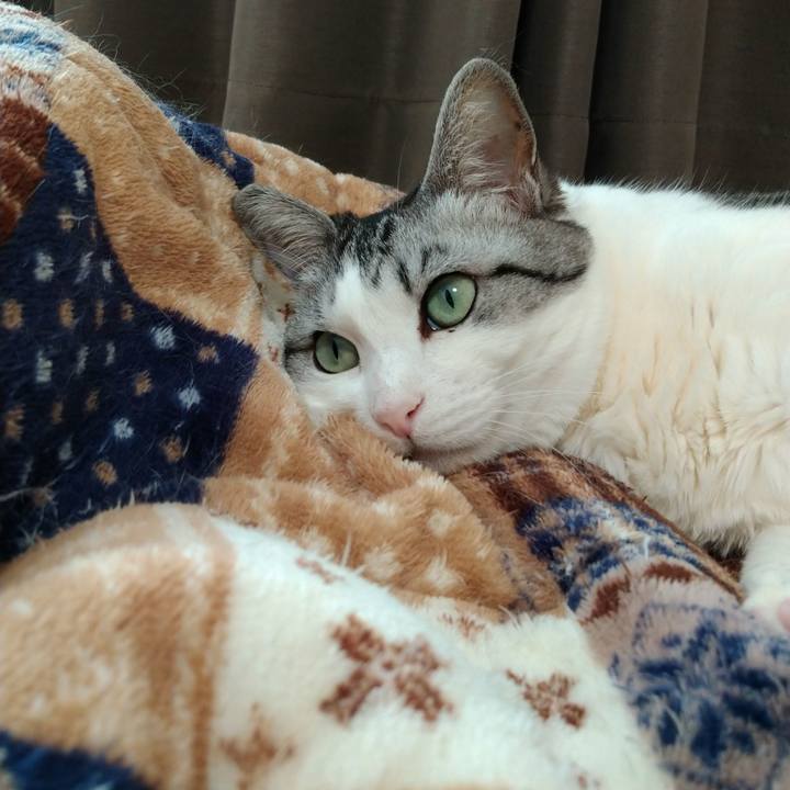 Ccd64951 63cc 4bc0 9c37 a85a945575ca 1620615743615