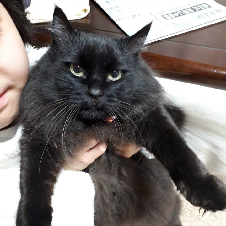 Ccd653c2 a8db 4f52 a7bd c9045540e2da 1521064240495