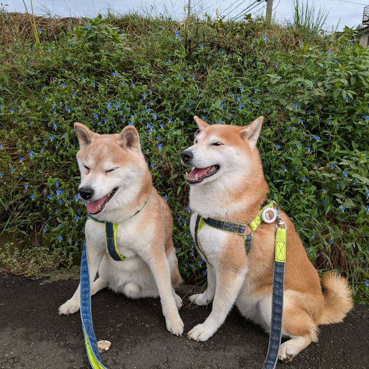 Ccd6ae5f b450 4fab 94d9 7ce9dc83be89 1758245459051