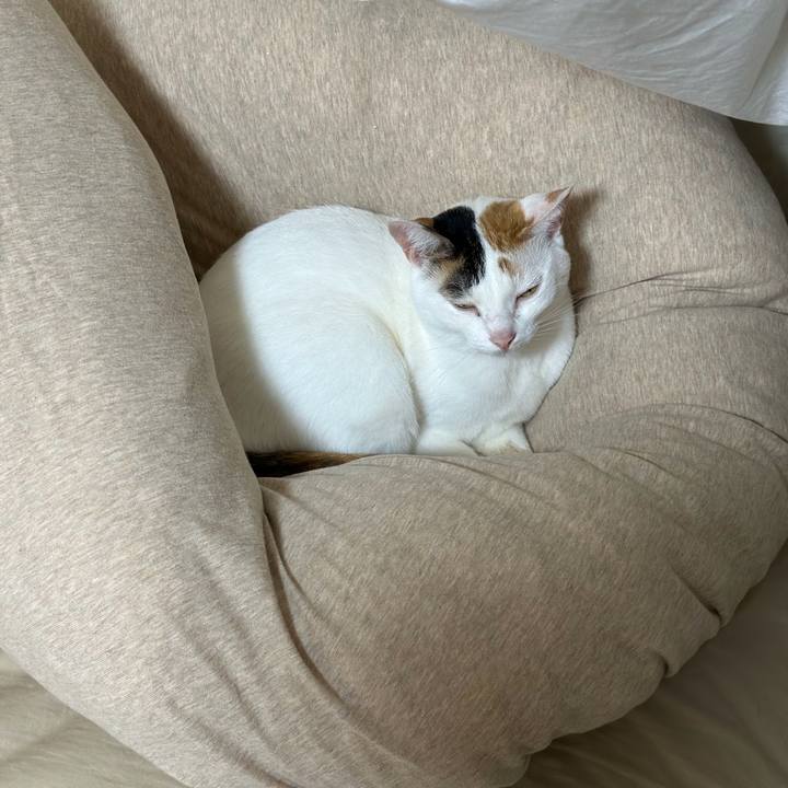 Ccd6bf62 25a9 4e22 975a 1bb2d9dbfae0 1699525385083