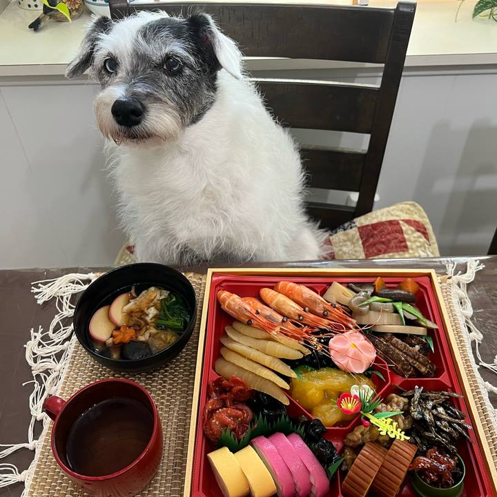 Ccd6c397 6233 49f4 a3b1 3331ea84f7c9 1735772968956