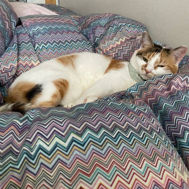 Ccd6ce12 ecb9 407a 9046 5cd1c9975e72 1664930275752