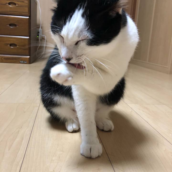 Ccd6cfab 1dc5 4260 af4a dd32a704bbbe 1561383142322