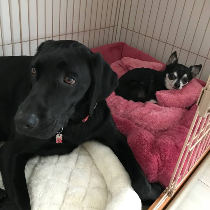 Ccd6d1be 54e9 4fab 9b05 b18c29c5c8d6 1523314632162