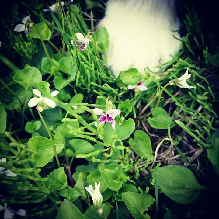 Ccd6ec75 fd09 4007 8c06 c44cdf44c14a 1525779537838