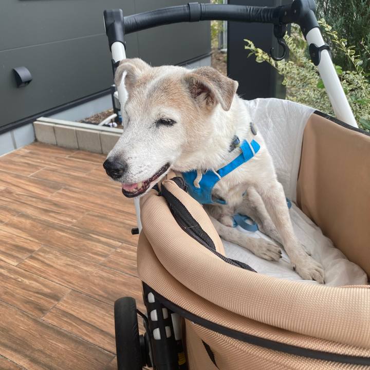 Ccd6fae6 dc01 4f62 99eb 314a2b446c47 1730009620689