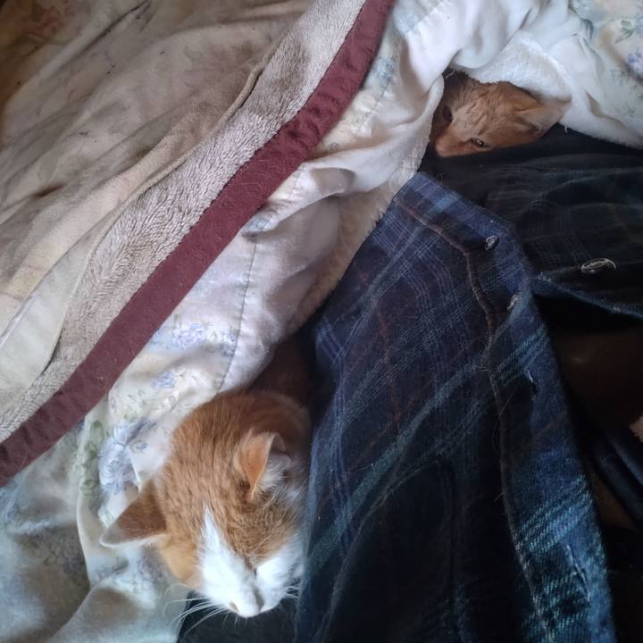 Ccd6fdfb f494 48e3 aa61 d6cf42b88e24 1765335788574