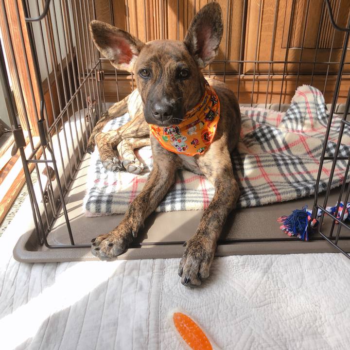 Ccd6fede d7d3 431a a6d5 53560a5b2efc 1572232419401