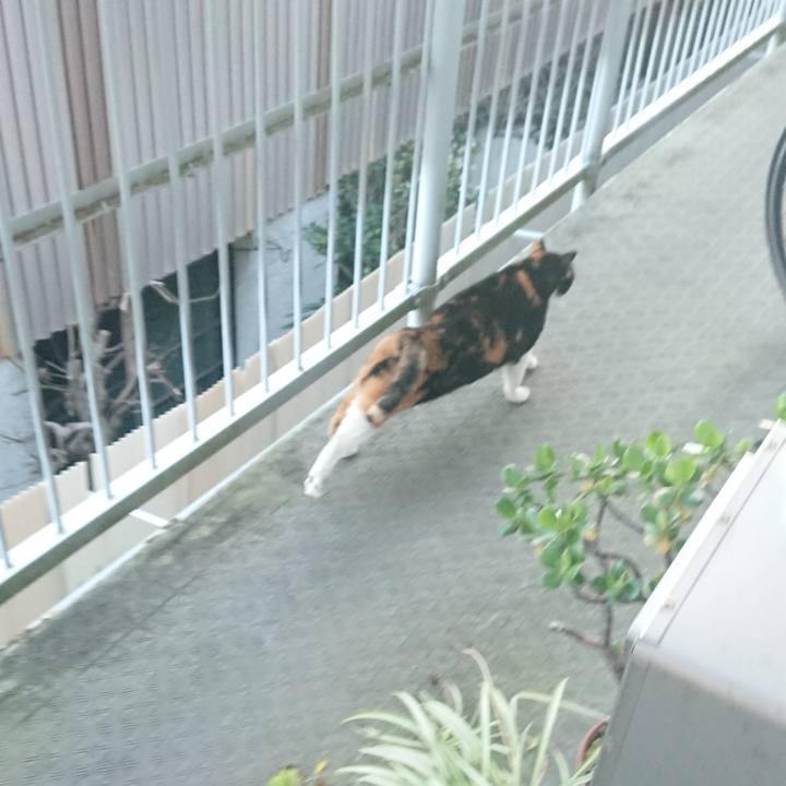 Ccd706a1 a668 41ad 8fb0 936397fb7142 1580874354184