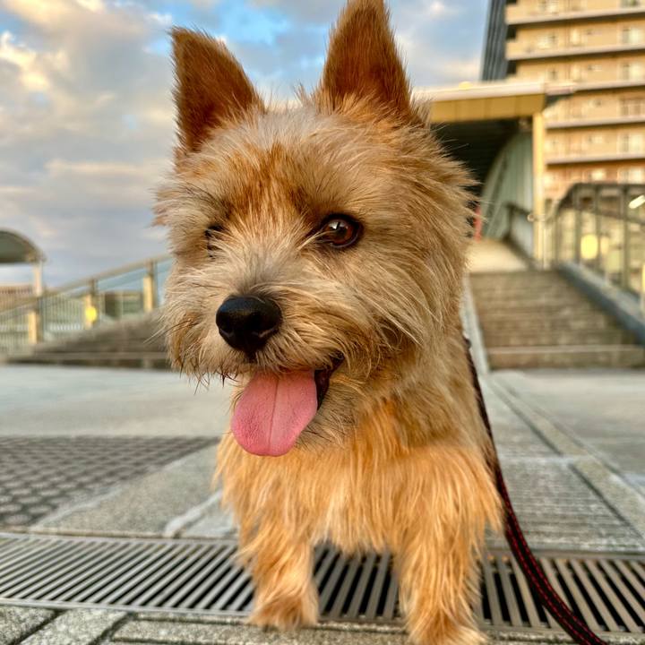 Ccd71c4b bbd4 4af2 98f7 e3095a660f2c 1759263368883