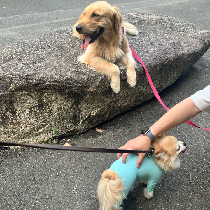 Ccd73f26 cd58 4814 9053 0eabbdf170cb 1755822174011