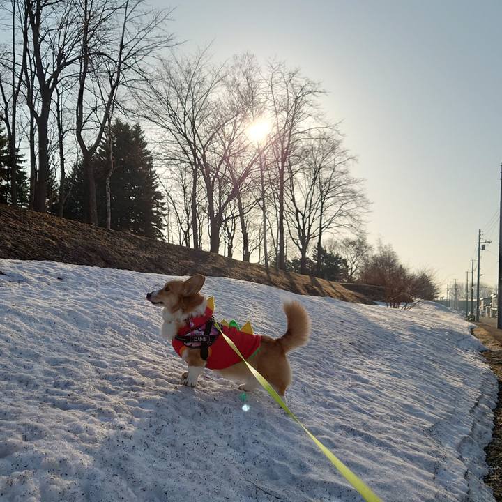 Ccd77240 d4d4 4fc4 9010 c5bd356e8c35 1774395449429