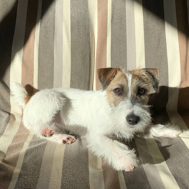 Ccd790cb 5f47 4b6f af85 9876f2313c1e 1574296660292