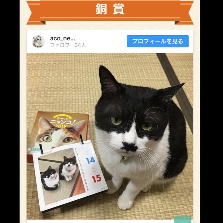 Ccd7982b f47f 4b04 abab f02f43d518b9 1548811337965