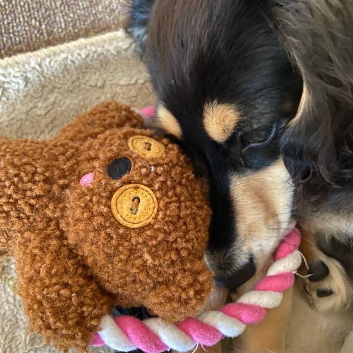 Ccd81202 d0e1 4430 8e77 8e009af6ad87 1674519612450