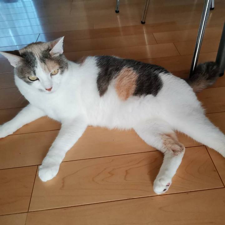 Ccd81af4 0939 4b52 baa1 fc67870c9f50 1621828650921