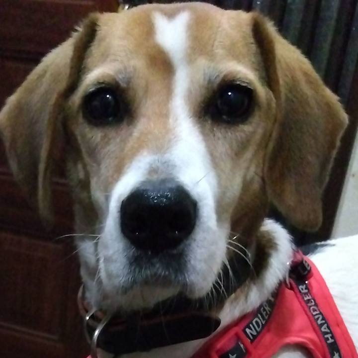 Ccd83684 4d85 4014 98e5 0ea1537be19b 1700141858706