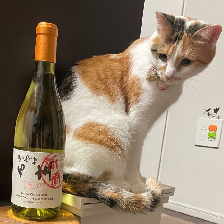 Ccd86054 bf95 4189 bd64 9a438dd136a8 1635949380107