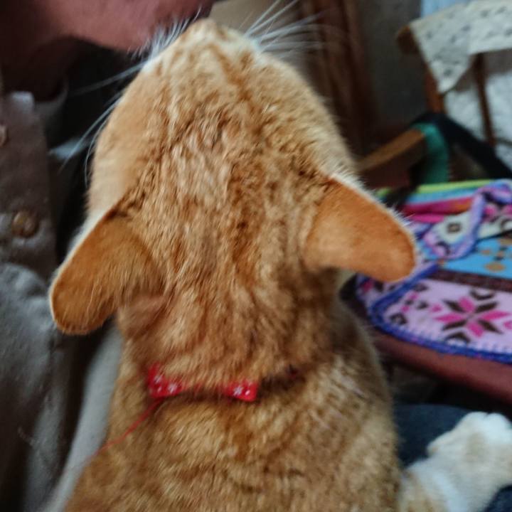 Ccd87c41 b32f 4e3a 97fd a6d6c526f84d 1579761004434