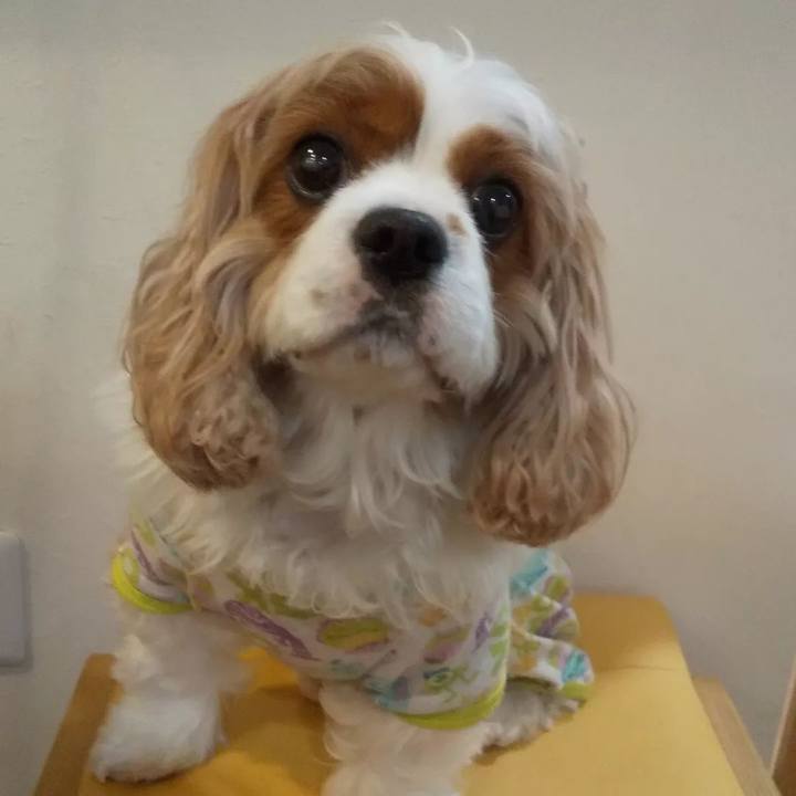 Ccd8877a 4ed3 407f 8b0d 45825f39071f 1652189696293