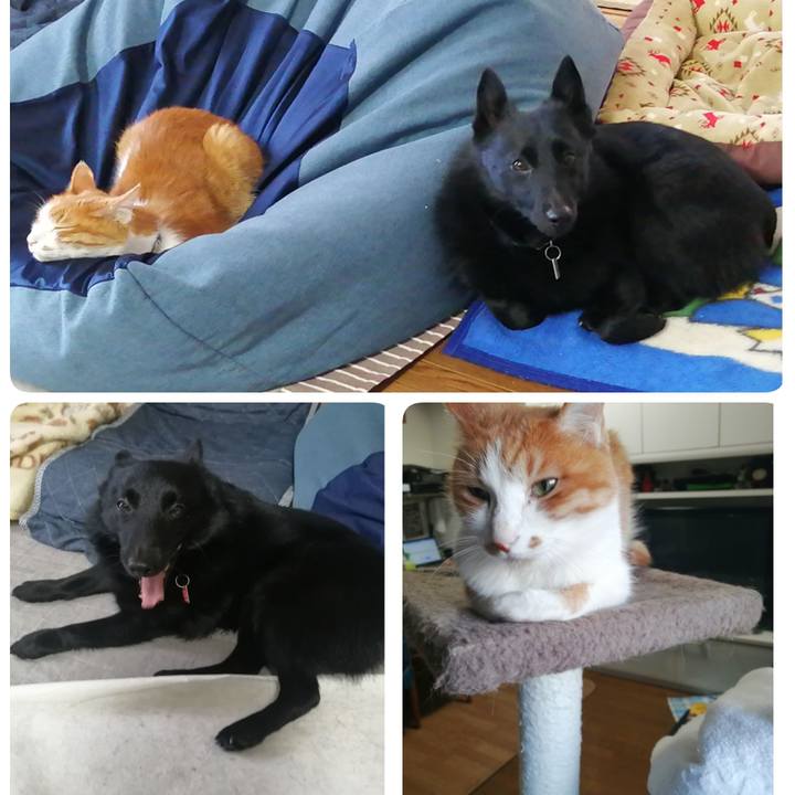 Ccd88809 07bd 4ccf be1b 5cfa411c72a6 1620032088354