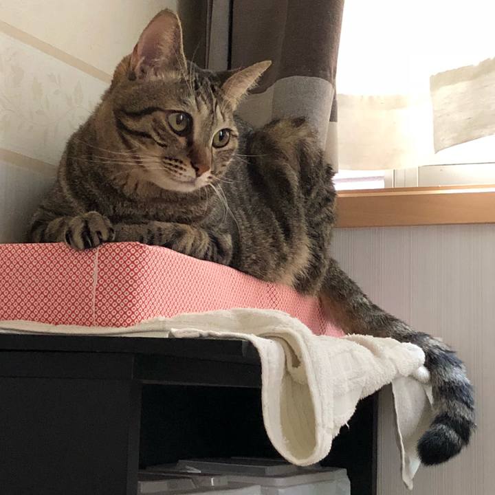 Ccd8a897 9ccf 4c10 b738 509c8f26ef6e 1537767059540