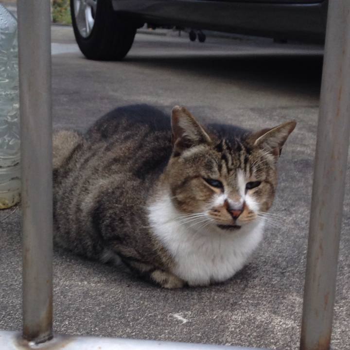 Ccd8ad95 73b2 47f3 8550 a2c3b2a84364 1507711309295