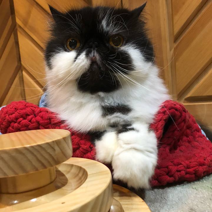 Ccd8fe0c f75f 405a 9b6c eba705452999 1602760866328