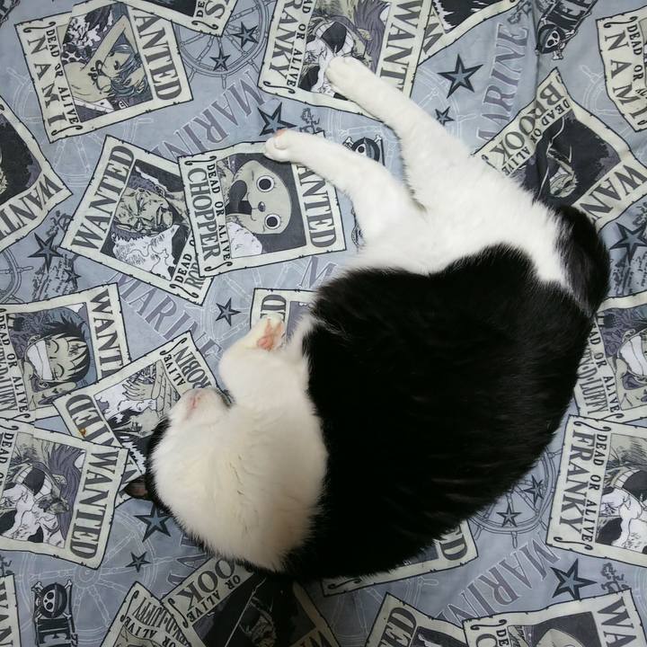 Ccd912f7 8487 4db9 b35c c489df69dd6d 1527942836274