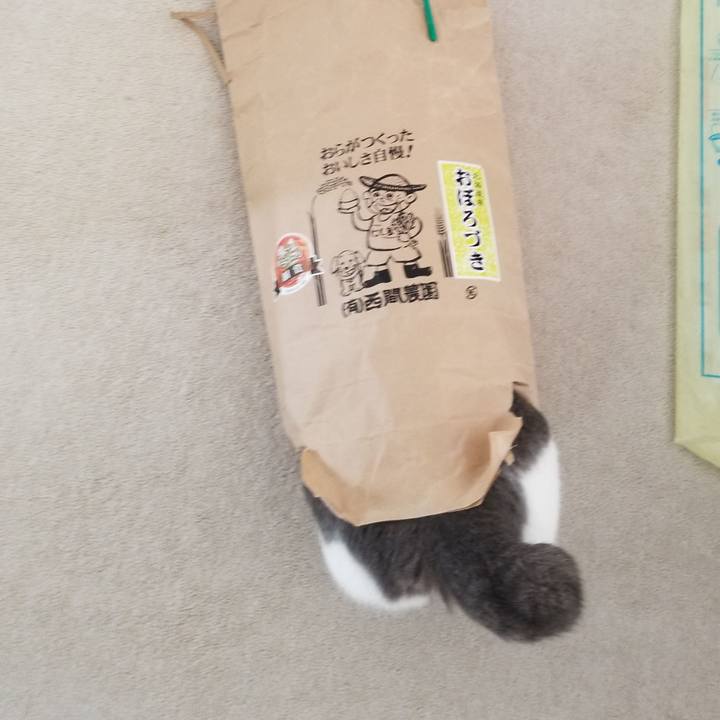 Ccd9161a f93a 4827 bf81 bea815baf081 1593788747545